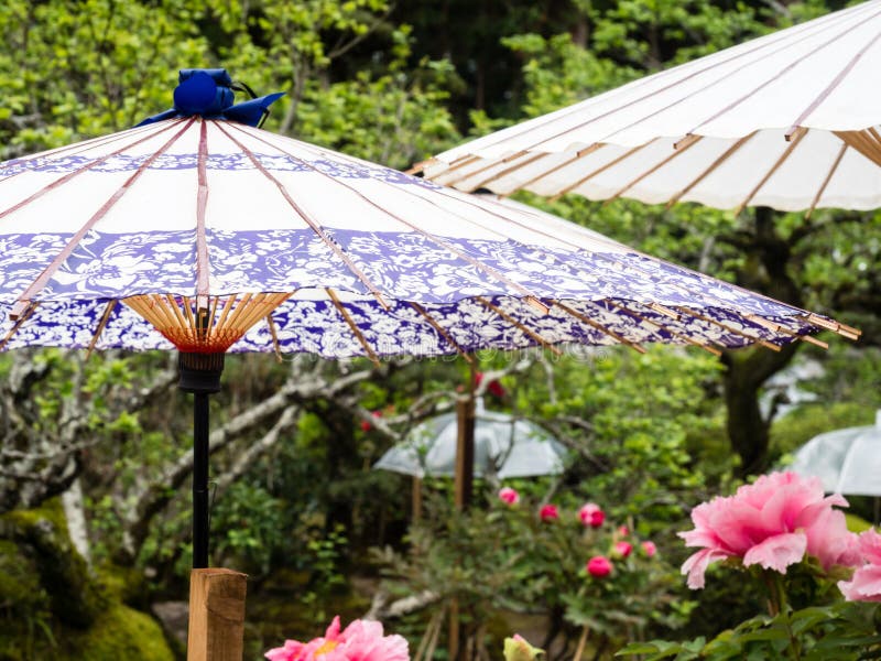 Consejo anunciar He reconocido Sombrillas Japonesas En El Jardín Imagen de archivo - Imagen de cultura,  paisajismo: 171405385