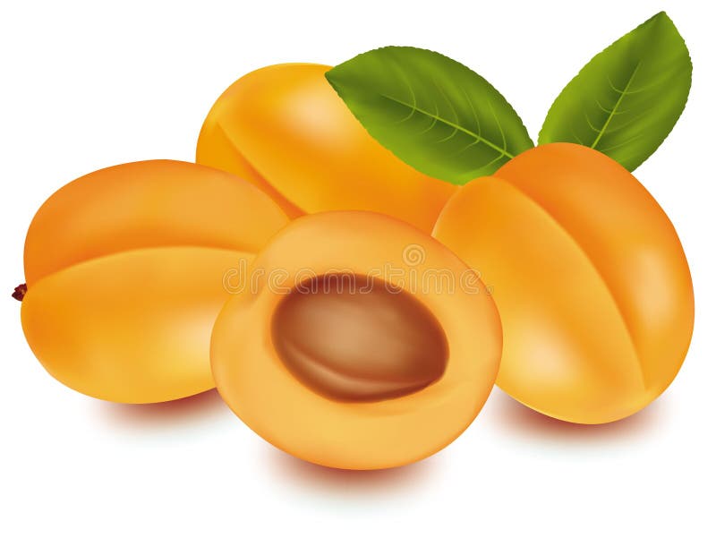 Some apricots.