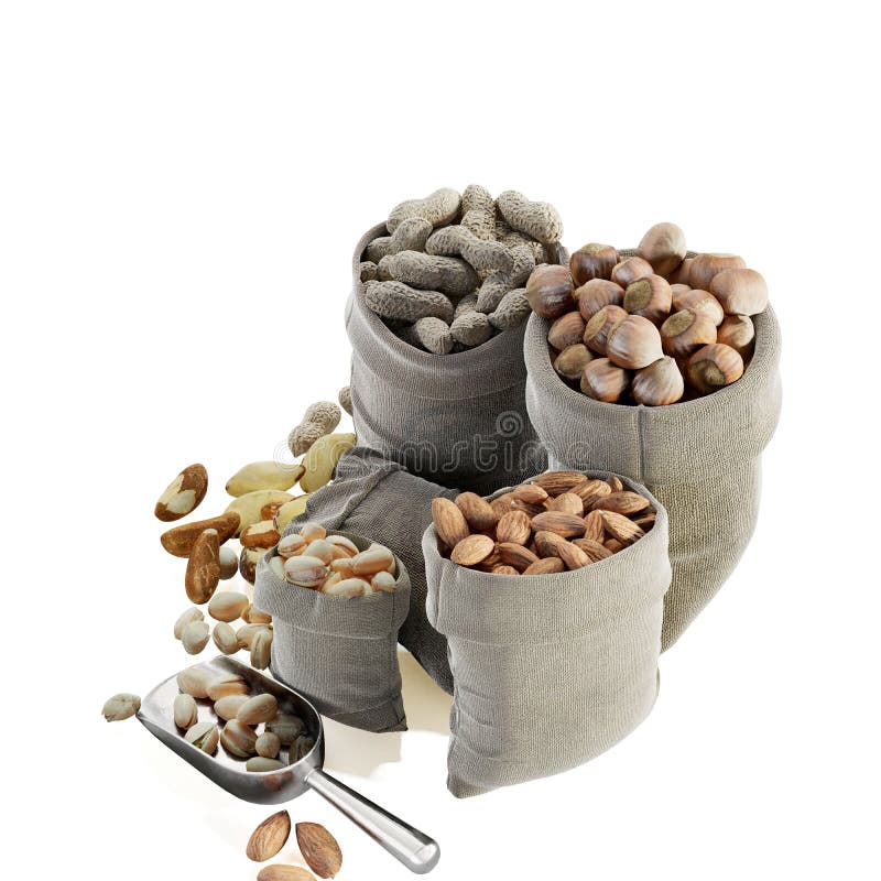 Bags with Harvested Nuts Isolated on White Stock Photo Image of hazelnut, seed 258131112