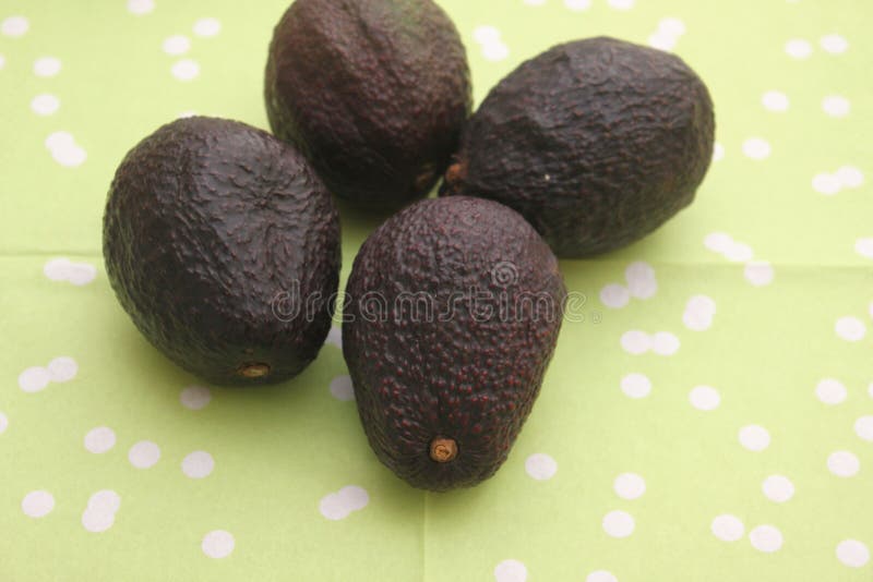 Black Avocado stock photo. Image of avocado, cooking - 99171996