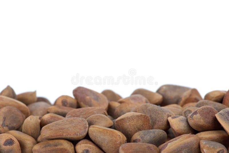 Some cedar nuts