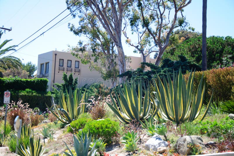 Some Flowers and Nicely Trimmed Bushes Stock Image Image of facade