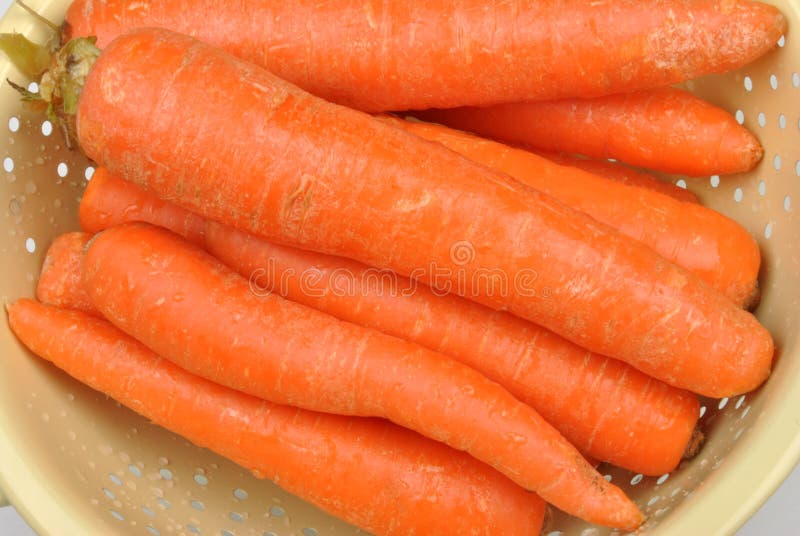 Some Fresh and Healthy Organic Carrot Stock Photo Image of fresh, dinner 12376176