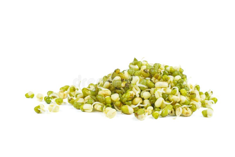 Some germinated seeds of mung bean isolated on a white royalty free stock image