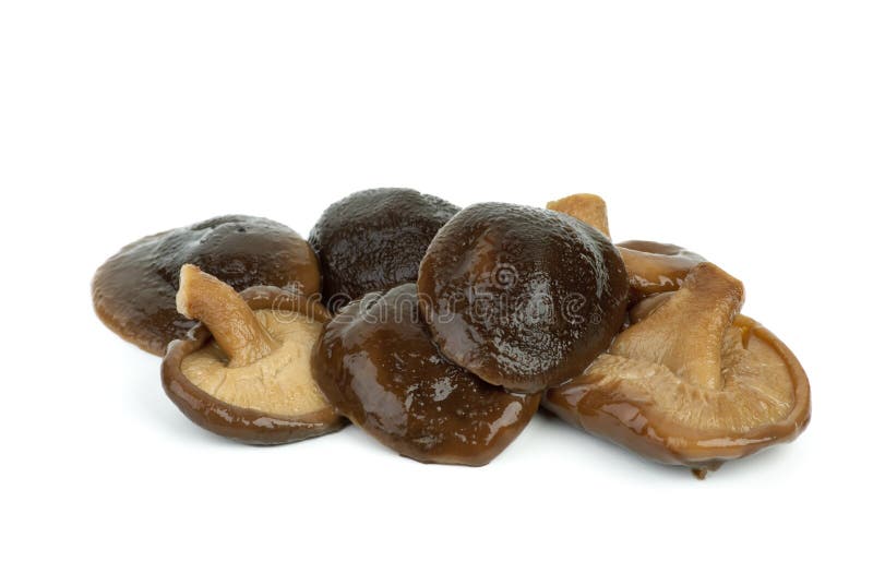 Wood ear mushroom stock image. Image of mushroom, edible 3179611