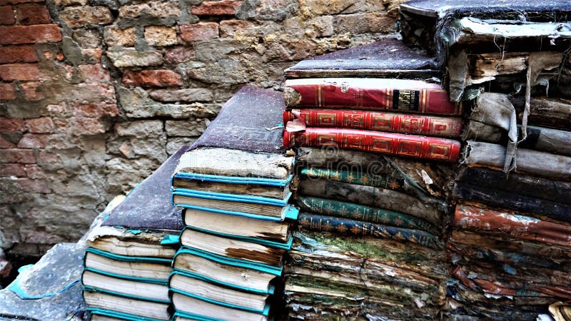 Acqua Alta bookcase in Venice: a forester from real books