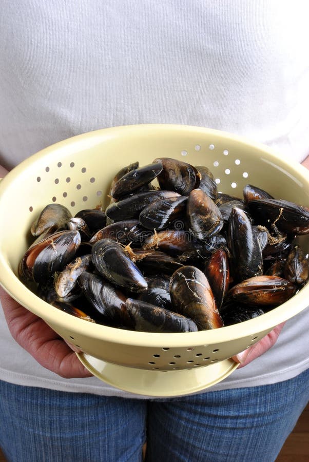 Organic Mussel that they are Ready To Eat Stock Image Image of lunch