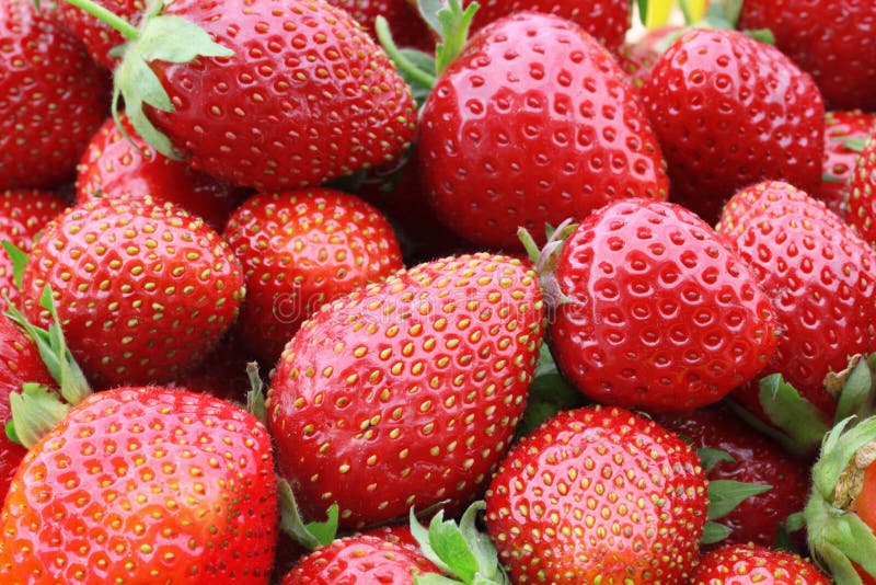 Some of strawberries