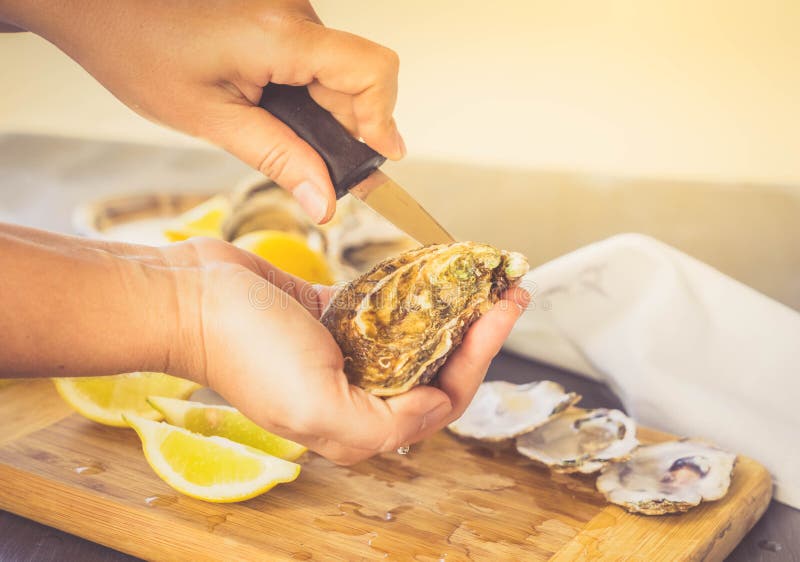 Raw oysters shells stock photo. Image of focus, platter 83746724
