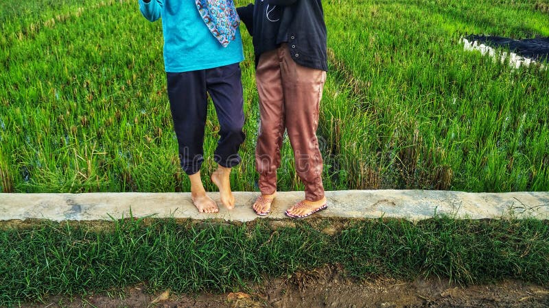 Someone playing on the edge of a field royalty free stock image