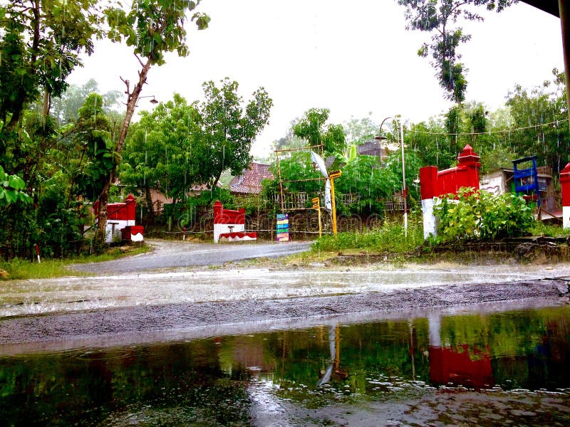 Emerald Refreshment : Lush Village Under the Rain
