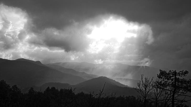 Tuscany Wild Landscape with Field Stock Image - Image of travel ...