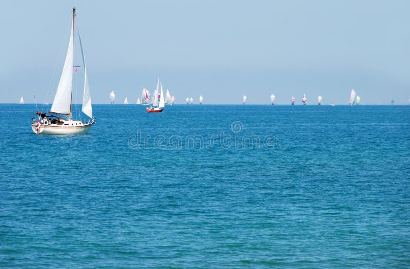 Summer day sailing a boat with lots of sailboats in the background. Summer day sailing a boat with lots of sailboats in the background