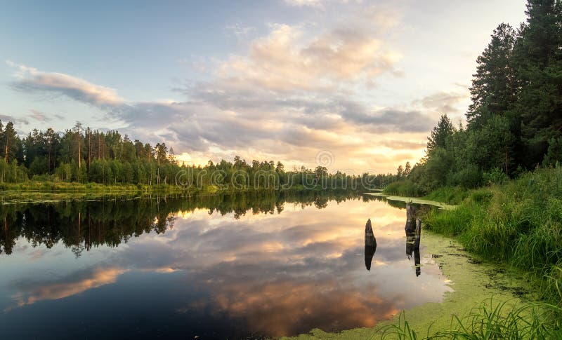 Sommaraftonlandskapet på Ural sjön med sörjer träd på kusten, Ryssland arkivbild Sommaraftonlandskapet på Ural sjön med sörjer träd på kusten, Ryssland arkivbild