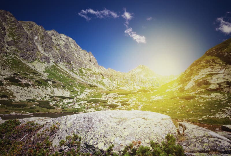 Sommarberg landskap arkivfoton Sommarberg landskap arkivfoton