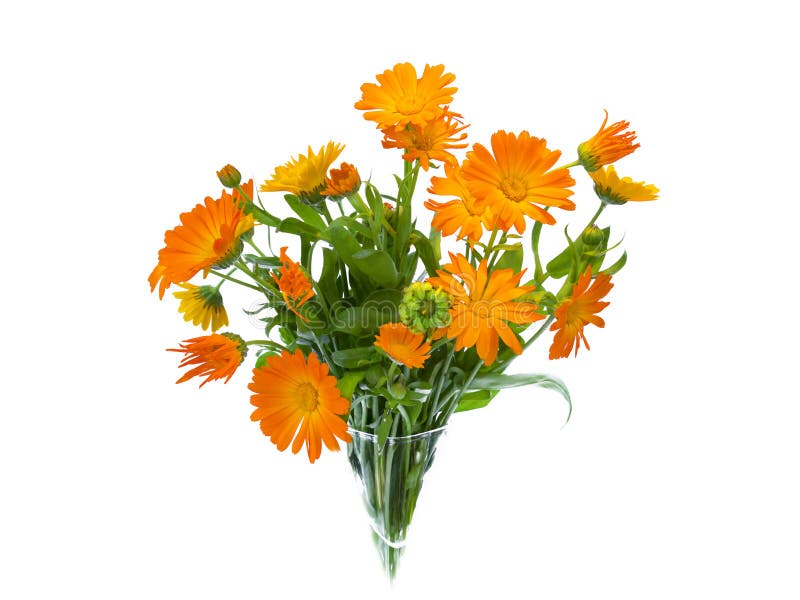 Sommarblommabukett som isoleras royaltyfri bild Sommarblommabukett som isoleras royaltyfri bild