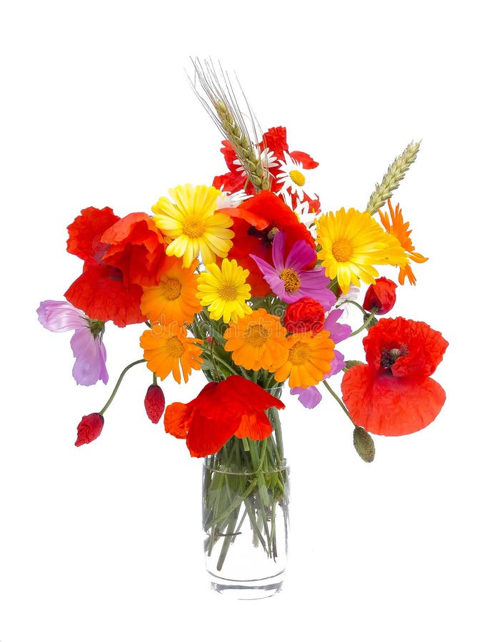 Sommarblommabukett, vit bakgrund arkivbild Sommarblommabukett, vit bakgrund arkivbild