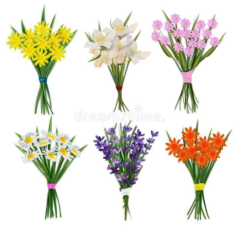 Sommarblommor. samling av blommor med bovar för kvinna. vårblomma från lavender chamomile jasmine stock illustrationer
