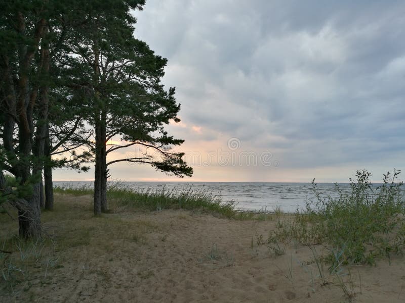 Sommarkväll om havet vid Östersjön royaltyfri fotografi Sommarkväll om havet vid Östersjön royaltyfri fotografi