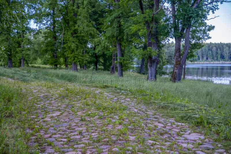 Sommarlandskapet på landsbygden fotografering för bildbyråer