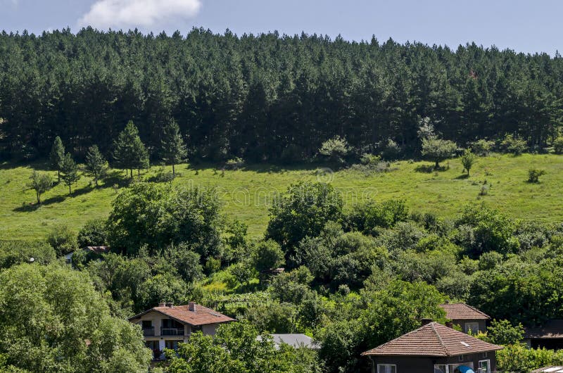 Sommarscen med bergsglade, skog och bostadsområde i byn bulgarian Zhelyava, Sofia-regionen, Balkanberget