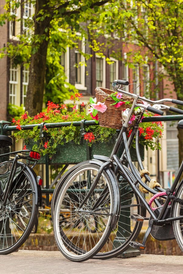 Sommarsikt av cyklar i den holländska staden Amsterdam royaltyfri bild Sommarsikt av cyklar i den holländska staden Amsterdam royaltyfri bild