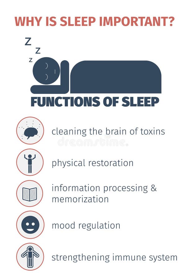 Sommeil infographic illustration de vecteur Sommeil infographic illustration de vecteur