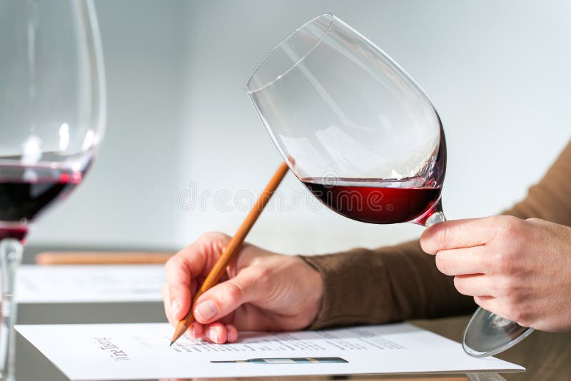 Sommelier evaluating red wine.