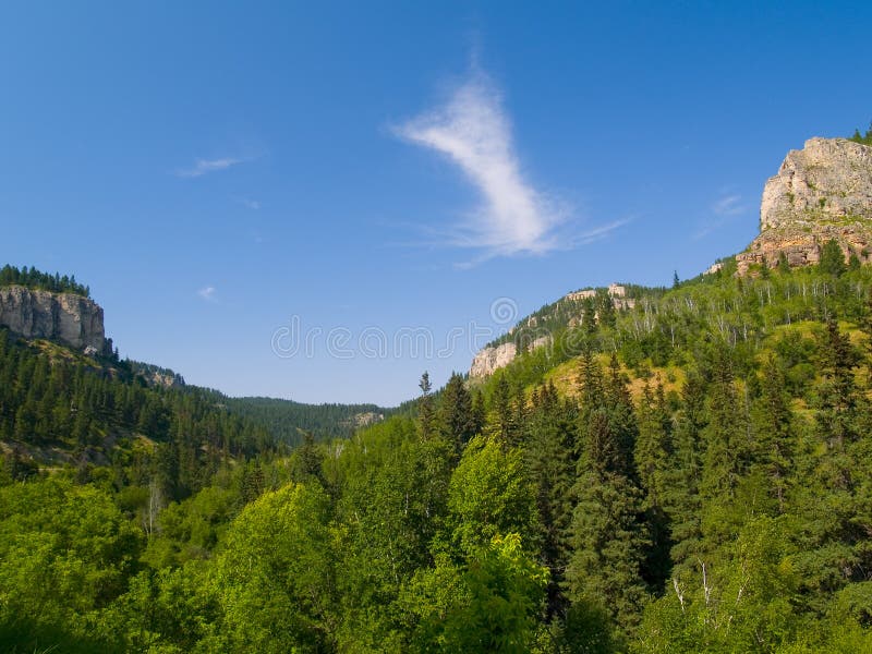 Sommer in der Spearfish-Schlucht stockbild Sommer in der Spearfish-Schlucht stockbild