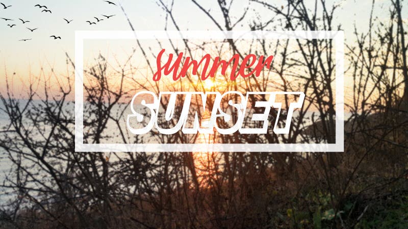 Sommer-Sonnenunterganghintergrund und -plakat stock abbildung Sommer-Sonnenunterganghintergrund und -plakat stock abbildung