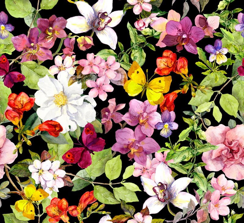 Sommerblumen, Schmetterlinge auf schwarzem Hintergrund Schickes Blumenmuster watercolor lizenzfreie abbildung