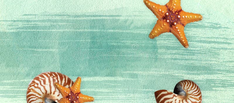 Sommerfahne mit Ölfarbe- und Aquarellbürsten Muschel, Starfish auf einem Marinehintergrund mit Textraum vektor abbildung Sommerfahne mit Ölfarbe- und Aquarellbürsten Muschel, Starfish auf einem Marinehintergrund mit Textraum vektor abbildung