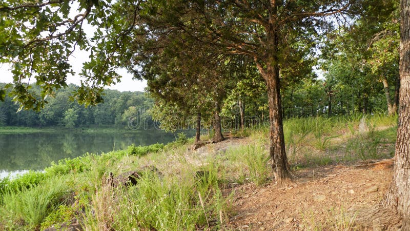 Eastern oklahoma landscape near a lake in summertime. Cedar and oak trees line the shore of a small lake. Eastern oklahoma landscape near a lake in summertime. Cedar and oak trees line the shore of a small lake