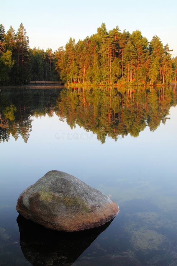 Sommermorgen bei Nuuksio stockbilder Sommermorgen bei Nuuksio stockbilder