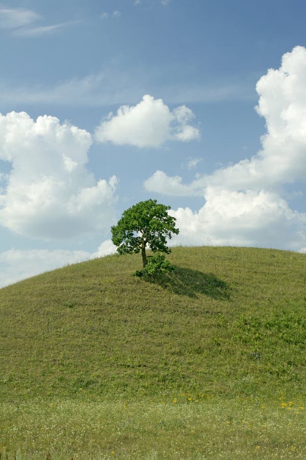 Sommertag lizenzfreie stockfotos