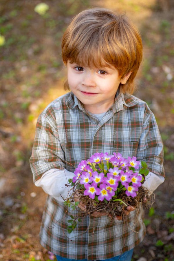 Son Grows Flowers. Planting Flowers. Little Helper in Garden Planting