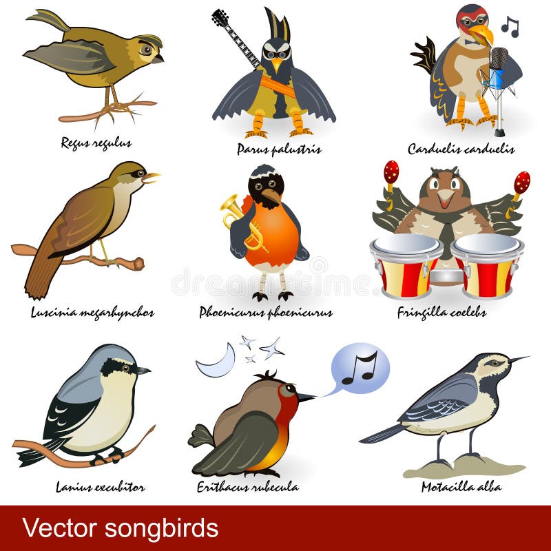 Songbirds