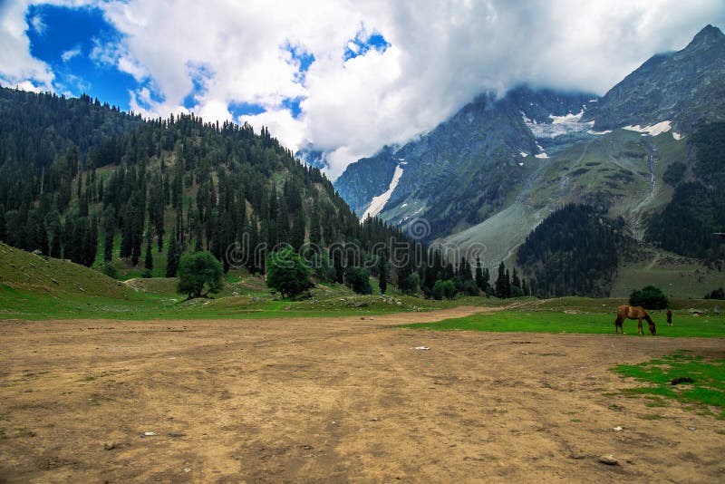 Sonmarg Valley Srinagar India