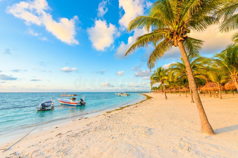 Sonnenaufgang an Akumal-Strand, Paradiesbucht an Riviera-Maya, karibisch lizenzfreies stockfoto Sonnenaufgang an Akumal-Strand, Paradiesbucht an Riviera-Maya, karibisch lizenzfreies stockfoto