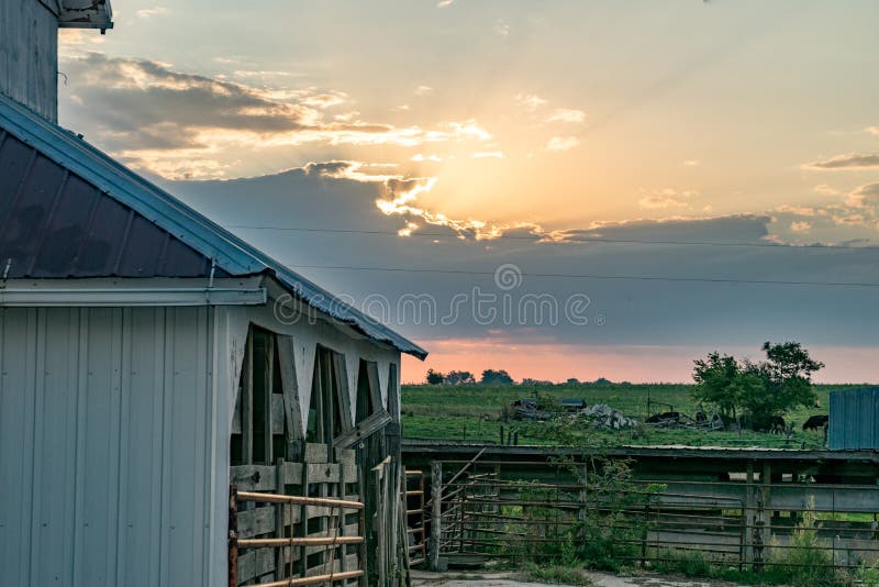 Sonnenaufgang auf dem Bauernhof stockbilder Sonnenaufgang auf dem Bauernhof stockbilder