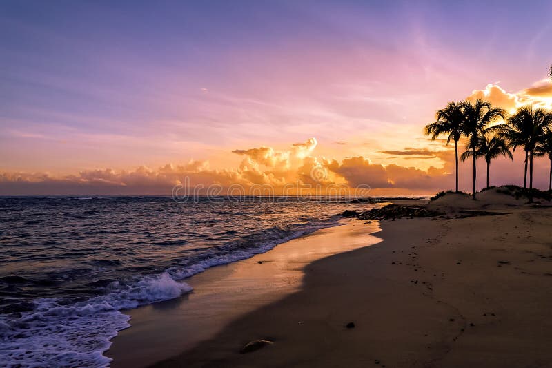 Sonnenaufgang in dem Ozean mit Palmen in den Karibischen Meeren Puerto Plata lizenzfreie stockbilder Sonnenaufgang in dem Ozean mit Palmen in den Karibischen Meeren Puerto Plata lizenzfreie stockbilder