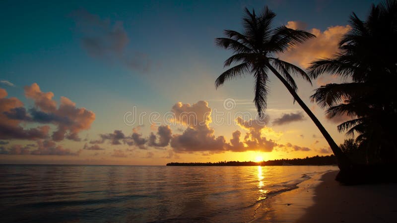 Sonnenaufgang über Dominikanischer Republik Tropeninselstrand- und -palmen Punta Cana