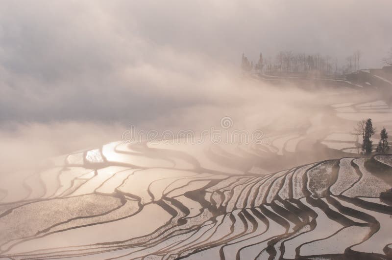 Die Rote Terrasse Von Yunnan, China Stockfoto - Bild von porzellan