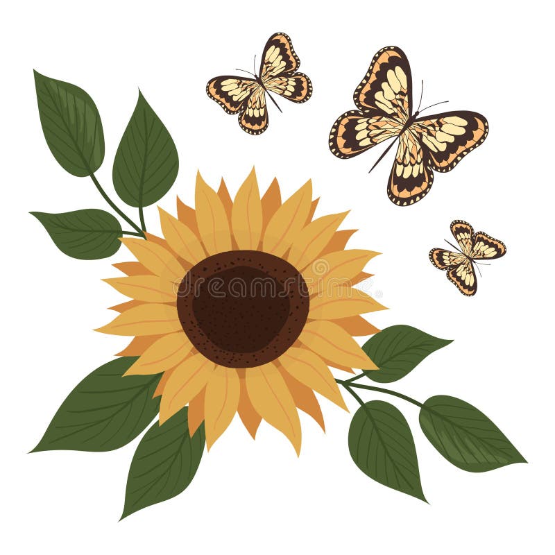 Sonnenblumen und Schmetterlinge. Sonnenblume und Blätter. botanisches Element vektor abbildung