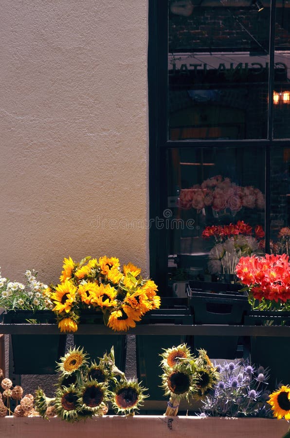 Sonnenblumen vor einem Floristen lizenzfreies stockfoto Sonnenblumen vor einem Floristen lizenzfreies stockfoto