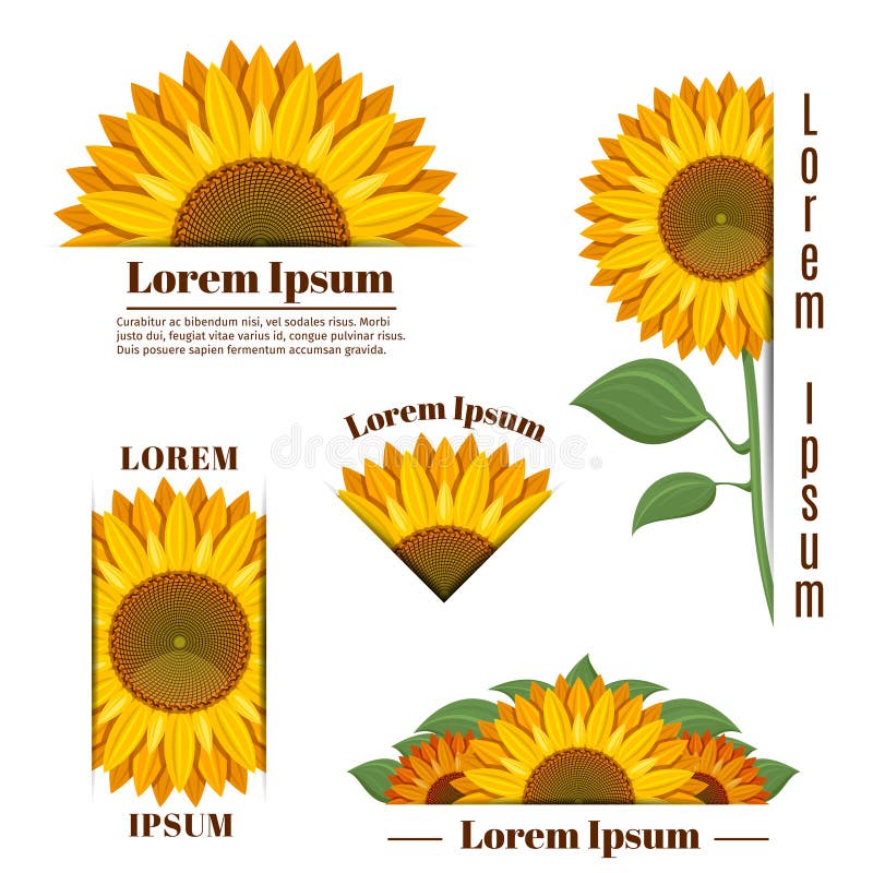 Sonnenblumenfahnen und Sonnenblumenaufkleber des Vektors gelbe mit Text vektor abbildung