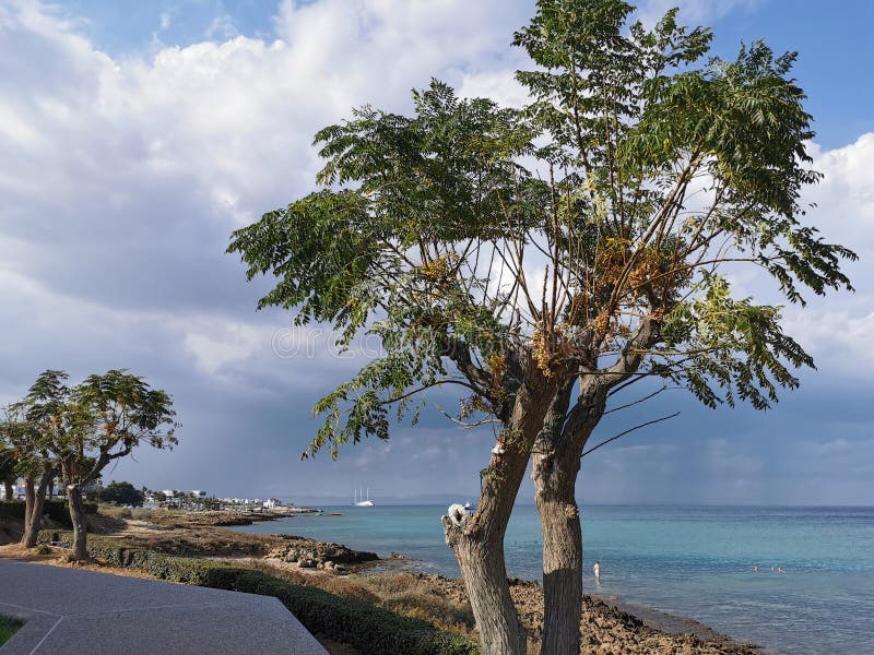 Sonnenküste des Mittelmeers mit Bäumen und Steinen dramatischen Himmel und Regen über dem Meer Boote im Meer und die größte lizenzfreie stockfotografie