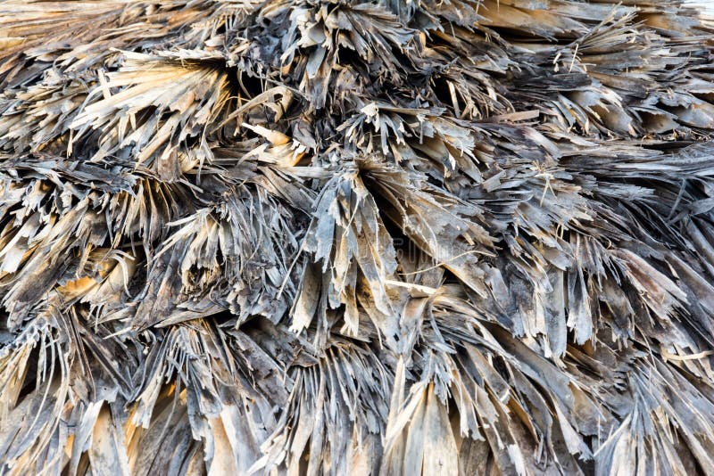 Sonnenschirm Hergestellt Vom Stroh, Detail Stockbild - Bild von niemand