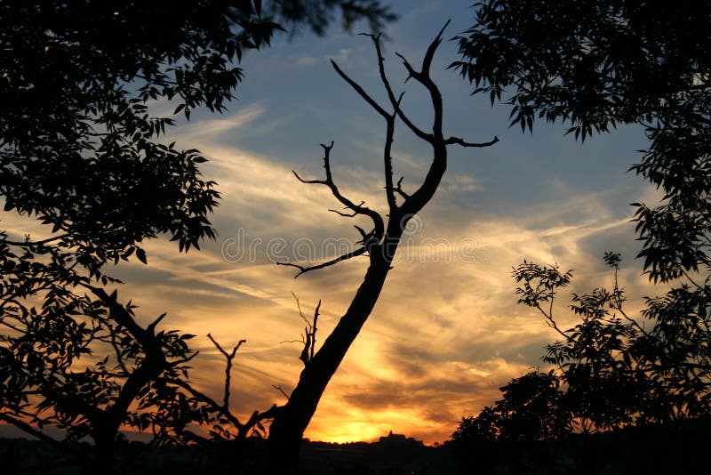 Sonnenuntergang 3 stockbild Sonnenuntergang 3 stockbild