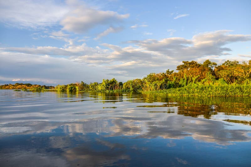 Sonnenuntergang im Amazonas-Regenwald, Manaos, Brasilien stockbilder Sonnenuntergang im Amazonas-Regenwald, Manaos, Brasilien stockbilder
